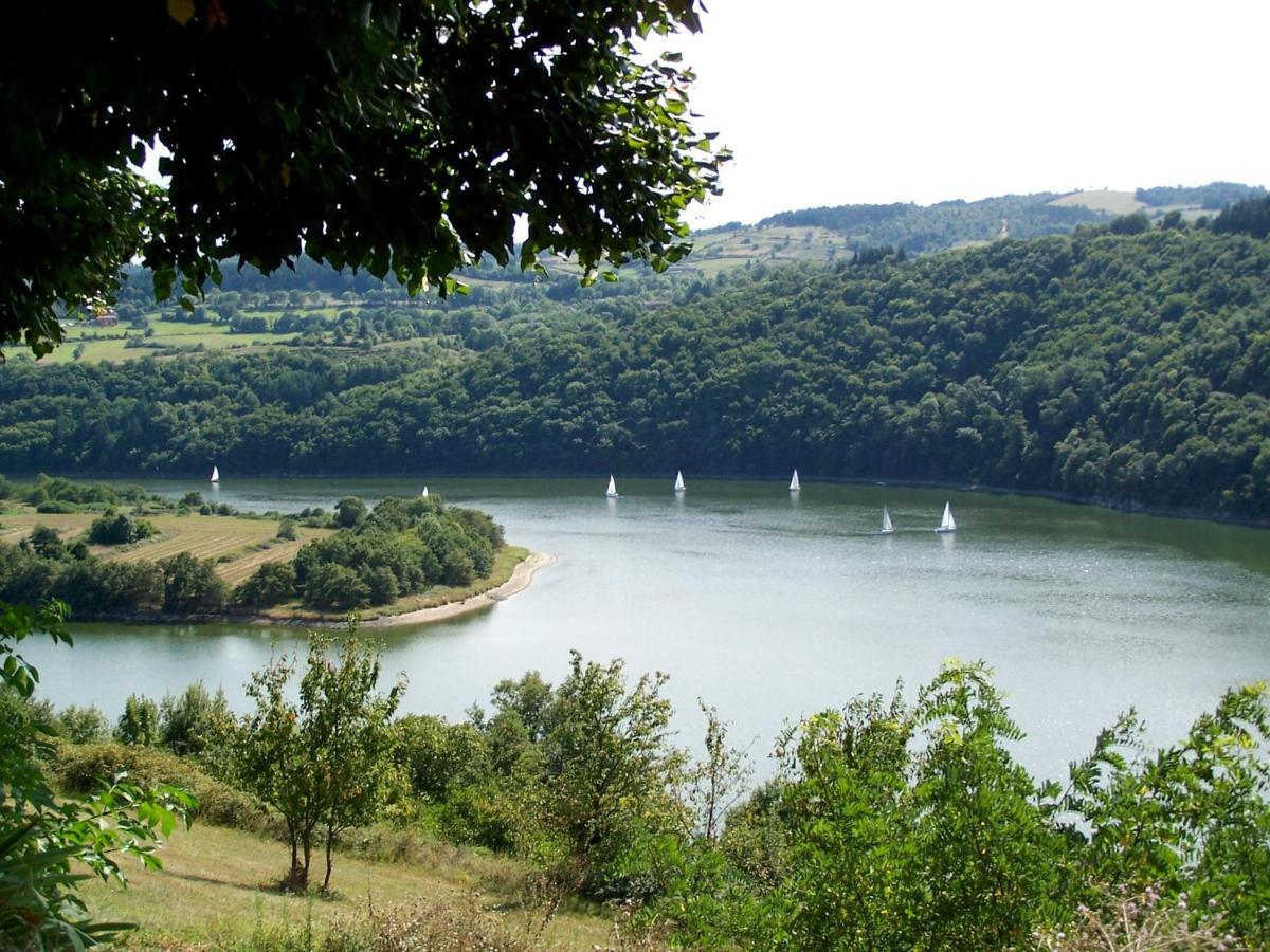 O Fil De L'Eau - Gite En Bord De Lac Saint-Jean-Saint-Maurice-sur-Loire Bagian luar foto