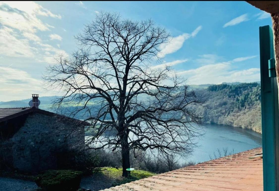 O Fil De L'Eau - Gite En Bord De Lac Saint-Jean-Saint-Maurice-sur-Loire Bagian luar foto